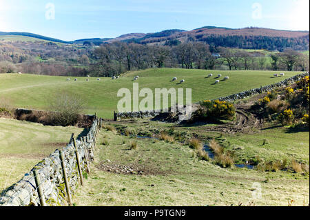 Landschaft im Torhaus der Flotte, Dumfries und Galloway, Schottland Stockfoto