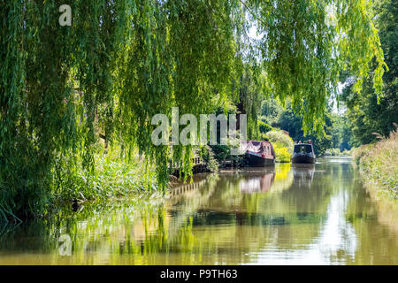 Narrowboats auf dem Kanal in der Nähe von Knutsford in Macclesfield Cheshire Stockfoto