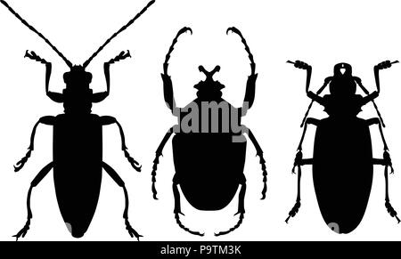 Silhouetten der Käfer - Symbole von Insekten Umrisse Stock Vektor