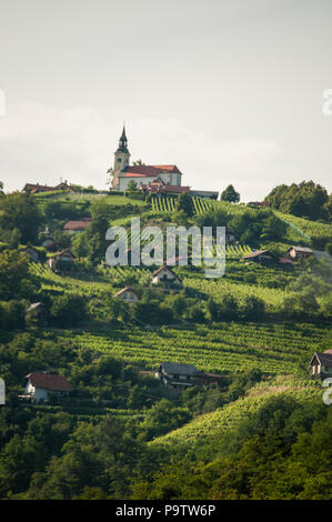 Slowenien: Eine der typischen slowenischen Dörfer mit einer Kirche auf einem Hügel, grüne Wiesen, Bäumen und kultivierten Flächen in der Landschaft Stockfoto