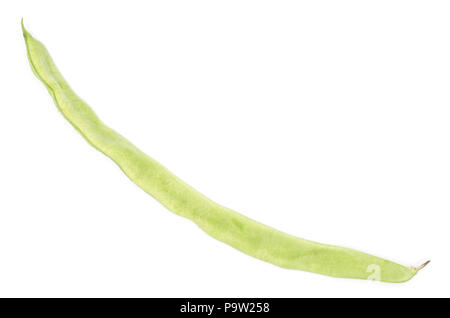 Eine flache grüne Bohne Draufsicht auf weißem Hintergrund Stockfoto