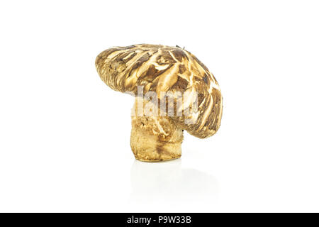 Eine ganze Frische rohe Braun shiitake Pilz isoliert auf weißem Stockfoto