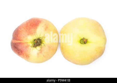 Zwei frische reife Saturn Pfirsiche flatlay auf weißem Hintergrund Stockfoto