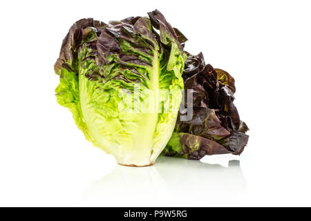 Gruppe von zwei ganzen frischen grünen Salat rote kleine Juwel Vielfalt auf Weiß isoliert Stockfoto