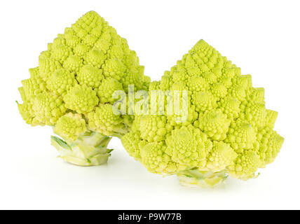 Romanesco Blumenkohl oder Brokkoli auf weißem Hintergrund zwei grüne Köpfe isoliert Stockfoto