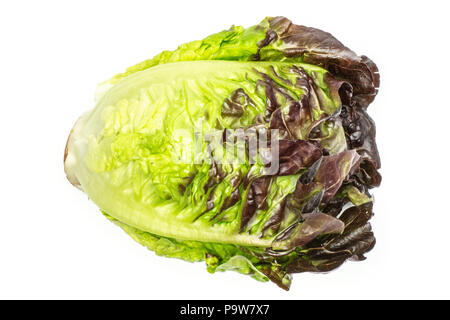 Einen ganzen frischen grünen Salat rote kleine Juwel Vielzahl flatlay isoliert auf weißem Stockfoto