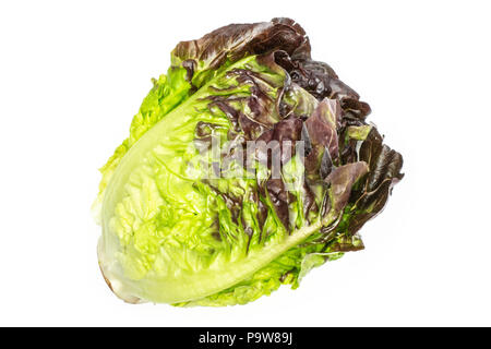 Einen ganzen frischen grünen Salat rote kleine Juwel Vielzahl flatlay isoliert auf weißem Stockfoto