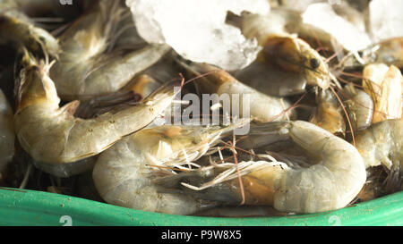 Garnele auf Eis auf den Zähler für den asiatischen Markt. Frisch gefangenen Krabben oder Parapenaeus longirostris auf die Theke mit Eis bei die Fische Shop. Die rohe Garnelen in Fish shop zum Verkauf. Philippinen. Stockfoto