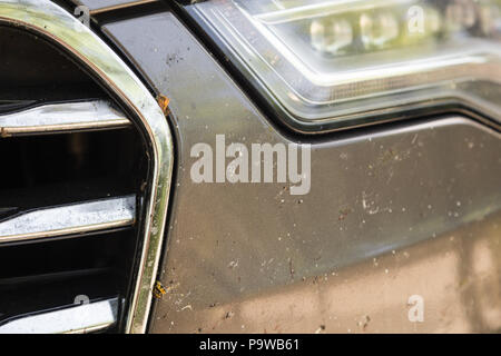 Nahaufnahme der vorderen Stoßfänger mit Viele zertrümmerte Insekten. Mit hoher Geschwindigkeit fahren. Stockfoto