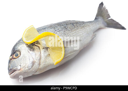 Dorado Fisch, auf weißem Hintergrund Stockfoto