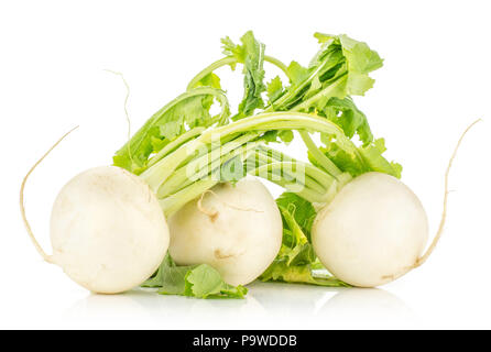 Drei weißen Rettich Zwiebeln mit frischen Blätter auf weißem Hintergrund einstellen Stockfoto