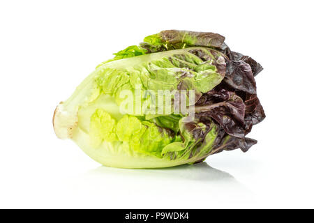 Einen ganzen frischen grünen Salat rote kleine Juwel Vielzahl isoliert auf weißem Stockfoto