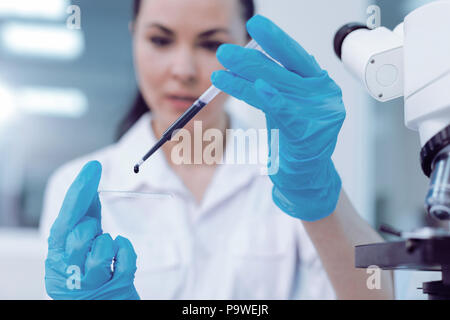 Professionelle Forschung. Selektiver Fokus eines Test flüssige Probe auf den Objektträger, während du einen professionellen Biologische Forschung Stockfoto