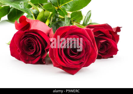 Drei rote Rosen auf weißem Hintergrund Bündel, frisch isolierten Stockfoto