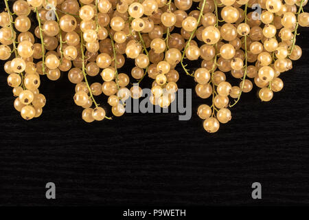 Menge ganze frische weiße Johannisbeere berry Blanka Vielzahl hängenden flatlay auf schwarzem Holz Stockfoto