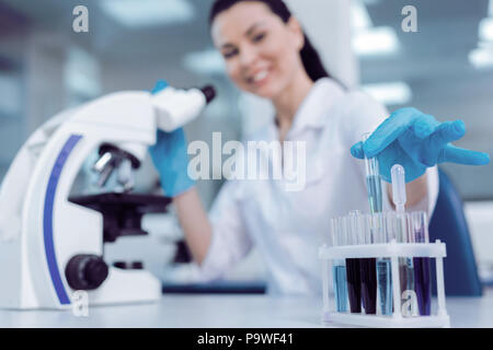 Professionelle Studien. Fröhliche positive freudige Wissenschaftler lächelnd und unter einem Reagenzglas aus dem Rack heraus, während Sie die biologische Studien Stockfoto
