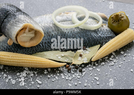 Salzwasser mariniertem Fisch, kalte Vorspeise. Hering Filet mariniert auf dem Schwarzen Brett Stockfoto