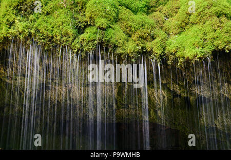 Regenwasser über einen bemoosten Felsen fallen. Schleierfall, ein Wasserfall in der Wutachschlucht, Schwarzwald, Baden-Württemberg, Stockfoto