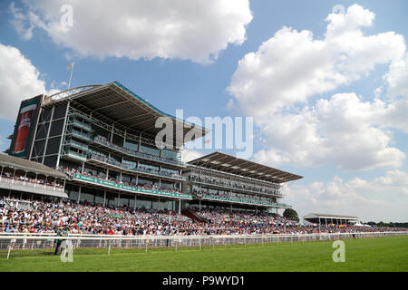 Ein Blick auf die Börsenspekulanten und Ebor steht bei Tag zwei Der John Smith's Cup treffen an der Rennbahn von York. Stockfoto