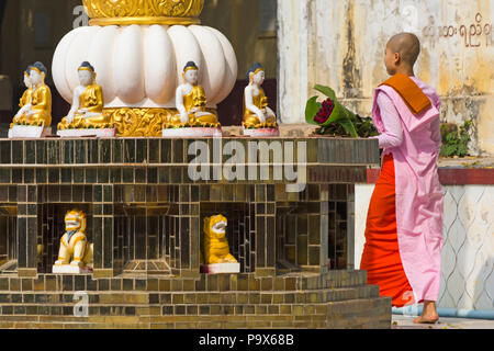 Nonne bei Thetkya Thidar Nonnenkloster, Sakyadhita Thilashin Nonnenkloster Schule, Sagaing, Myanmar (Burma), Asien im Februar Stockfoto