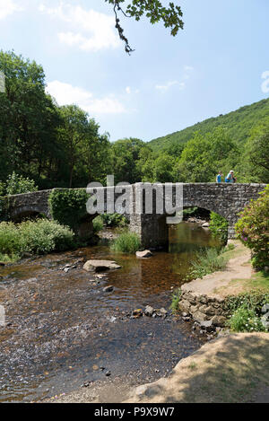 Das fingle Brücke überspannt den Fluss Teign an der Basis des Teign Schlucht im Nationalpark Dartmoor, Devon, England Großbritannien Stockfoto