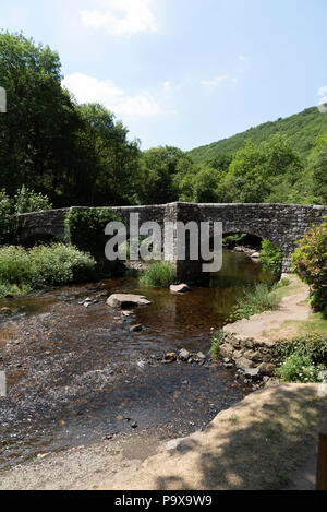 Das fingle Brücke überspannt den Fluss Teign an der Basis des Teign Schlucht im Nationalpark Dartmoor, Devon, England Großbritannien Stockfoto