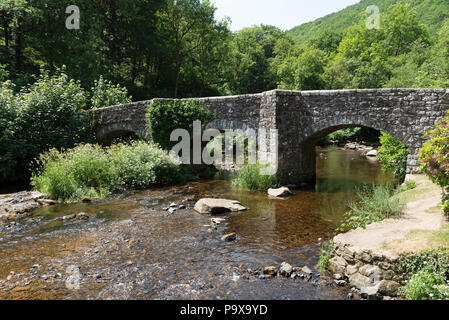 Das fingle Brücke überspannt den Fluss Teign an der Basis des Teign Schlucht im Nationalpark Dartmoor, Devon, England Großbritannien Stockfoto