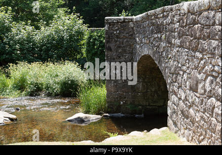 Das fingle Brücke überspannt den Fluss Teign an der Basis des Teign Schlucht im Nationalpark Dartmoor, Devon, England Großbritannien Stockfoto