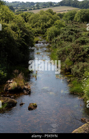 East Dart River bei Postbridge, Dartmoor, Devon, England, Großbritannien Stockfoto