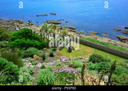 St Michael's Mount, Gärten Karrek Loos yn Koos, Marazion, Cornwall, England, Großbritannien Stockfoto