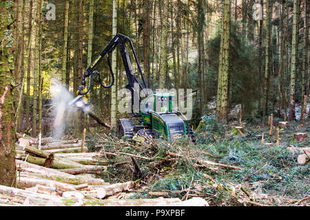 Tree Harvester im Grizedale Forest, Lake District, Großbritannien Stockfoto