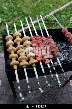 Kebab und Pilze grillen auf der Spieße auf den Holzkohlen Foto Stockfoto