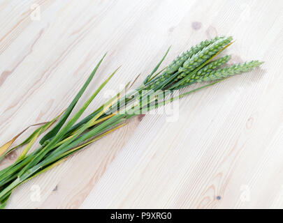 Lange grüne Ähren liegen auf einem weißen Holzbohle schräg, Nahaufnahme Stockfoto