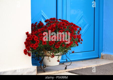 Weiß mit roten Blumen vor der blauen Tür Stockfoto