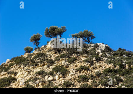 Agiofarango Canyon, südlich von Kreta, Griechenland Stockfoto