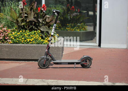 Umstrittene elektrische dockless Vogel scooter im Monument Circle in Indianapolis, Indiana, geparkt. Stockfoto