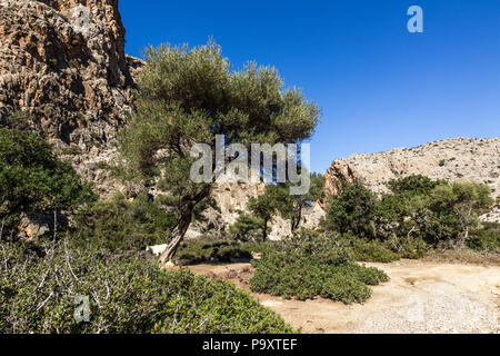 Agiofarango Canyon, südlich von Kreta, Griechenland Stockfoto