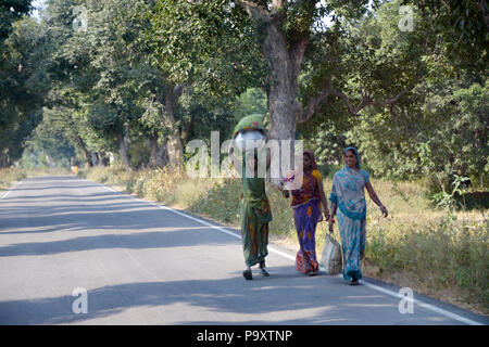 Indische lokale Frauen Ehefrauen der Landwirte, zu Fuß nach Hause nach dem Handel am lokalen Markt ausgeht, die ihre Produkte auf ihren Köpfen. Stockfoto