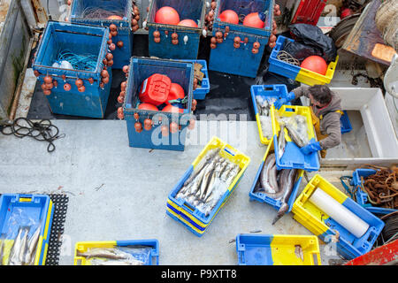 Der Fischerhafen von Keroman eine der größten Fischereihäfen in Frankreich, ist dieser Port bereit für alle Arten der Fischerei das ganze Jahr über. Lorient Keroman, Submarine Base, Bretagne, Frankreich. Stockfoto