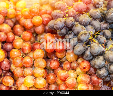 Weintrauben, frisch von der Rebe abgeholt. Stock Bild Stockfoto