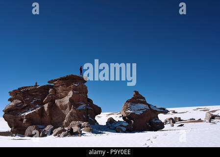 Mann auf einem Felsen beobachten die Landschaft des Árbol de Piedra (Baum, Stein) innerhalb der Fauna der Anden Eduardo Avaroa National Reserve, Bolivien. Stockfoto