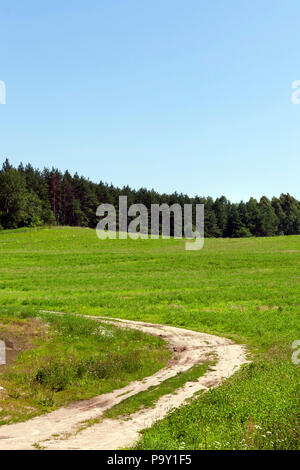 Einen kleinen Ausschnitt aus einer ländlichen Straße nach den Wald durch ein Feld mit grünem Gras, am Horizont Laubbäume in einen Mischwald, ein Sommer Grundstücke Stockfoto