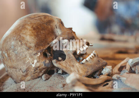 Schädel und Knochen ausgegraben aus einer Grube in einer schrecklichen Friedhof mit einem schwachen Licht Stockfoto