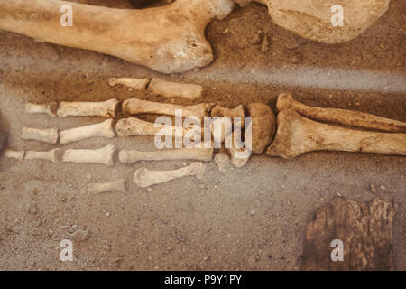 Archäologische Ausgrabungen und Funde aus Knochen der ein Skelett in einer menschlichen Beerdigung, ein Detail der historischen Forschung, die Vorgeschichte. Stockfoto