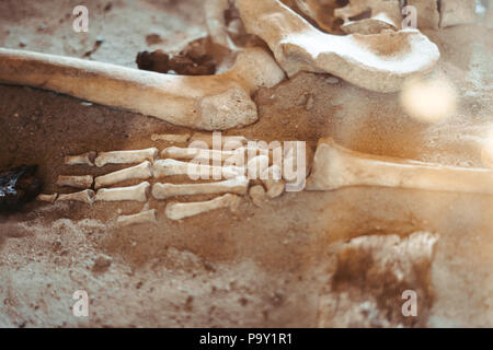 Archäologische Ausgrabungen und Funde aus Knochen der ein Skelett in einer menschlichen Beerdigung, ein Detail der historischen Forschung, die Vorgeschichte. Stockfoto