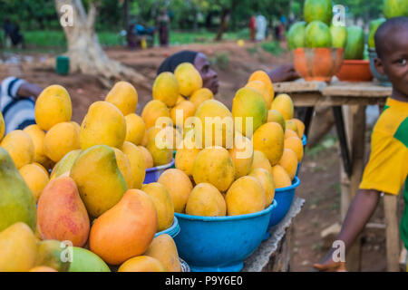 Gelbe und grüne afrikanischen mango Obst in kleine Portionen für den Verkauf in einem Markt angeordnet. Stockfoto