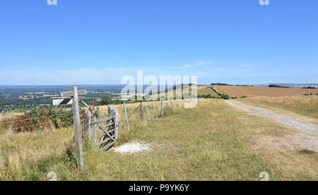 Landschaft zeigen waymarker Post auf der South Downs Way, fern Wanderweg in East Sussex, UK in der Nähe von Ditchling Beacon Stockfoto