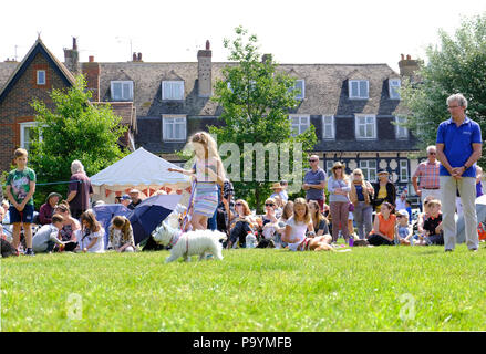 East Preston, West Sussex, UK. Fun Dog Show auf Dorf statt Grün Stockfoto