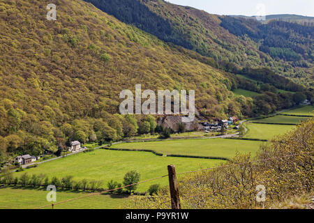 Rheidol Valley, Ceredigion, Wales, Großbritannien Stockfoto