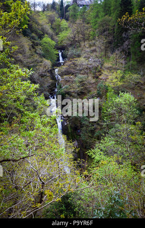 Devil's Bridge fällt - Rhaeadrau Pontarfybach, Ceredigion, Wales, Großbritannien Stockfoto